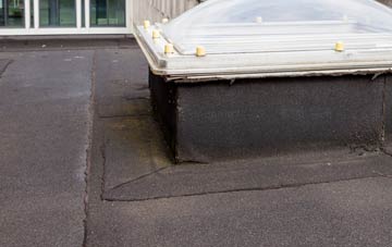 disadvantages of Newsbank flat roofs